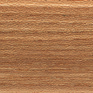 essence-bois-orme