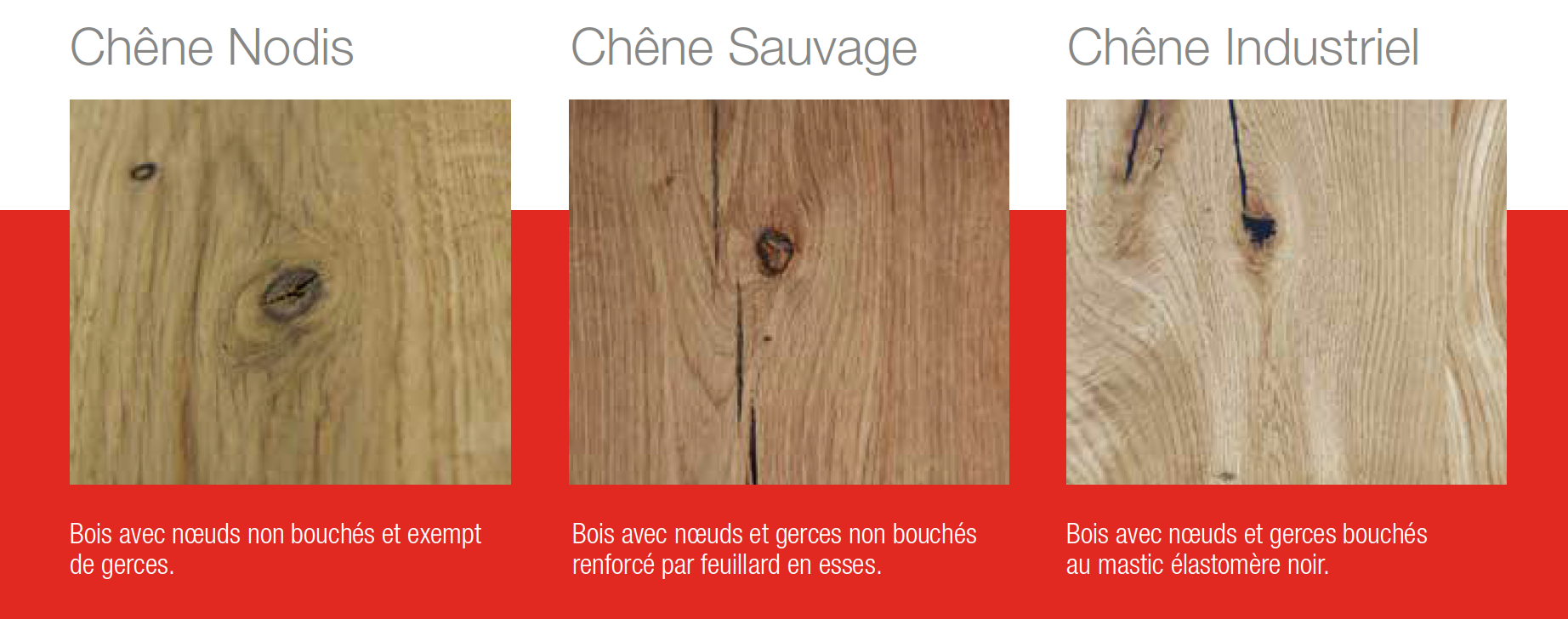essences-plans-bois-vintage
